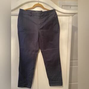 LOFT Gray Silver Chinos Khakis Pants workwear casual